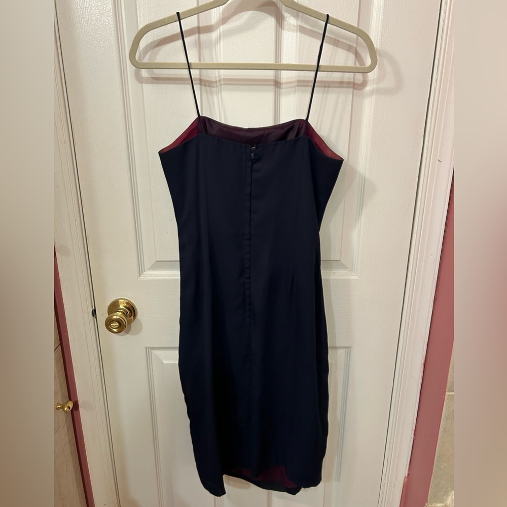 Cachet by Bari Protas dress - Picture 6 of 8